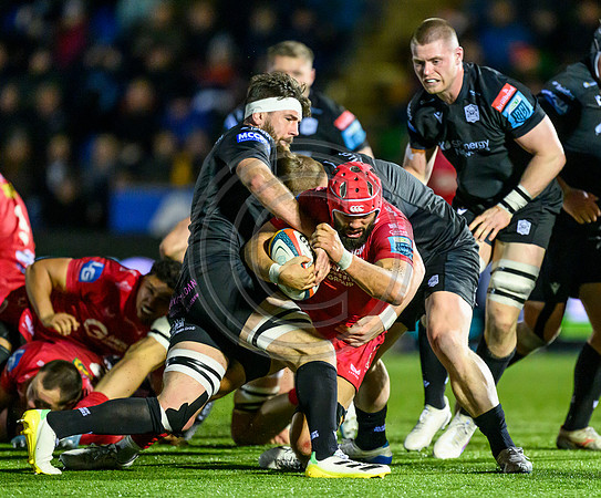 Warriors v Scarlets