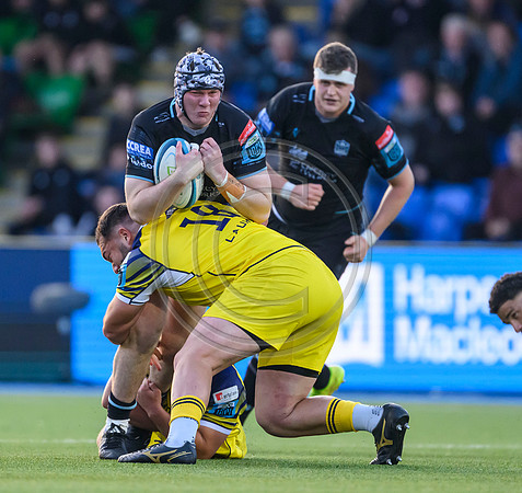Warriors v Zebre