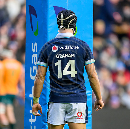 Scotland v Australia