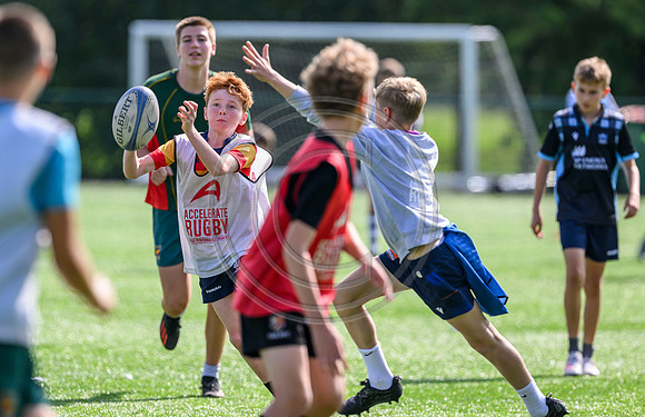Accelerate Rugby
