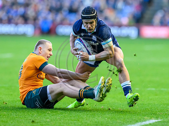 Scotland v Australia