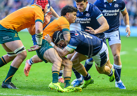Scotland v Australia