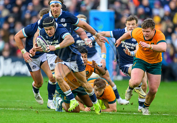 Scotland v Australia