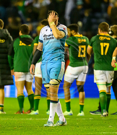 Scotland v South Africa