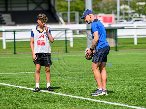 Accelerate Rugby