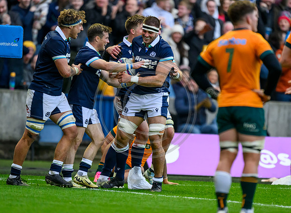Scotland v Australia