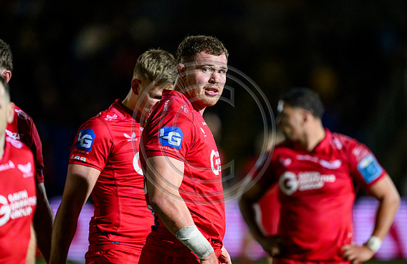 Warriors v Scarlets