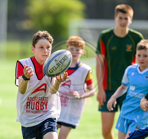 Accelerate Rugby