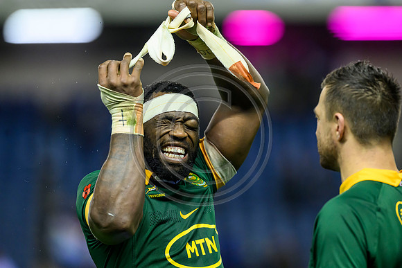 Scotland v South Africa