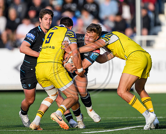 Warriors v Zebre
