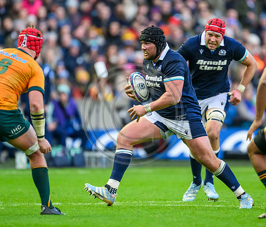 Scotland v Australia