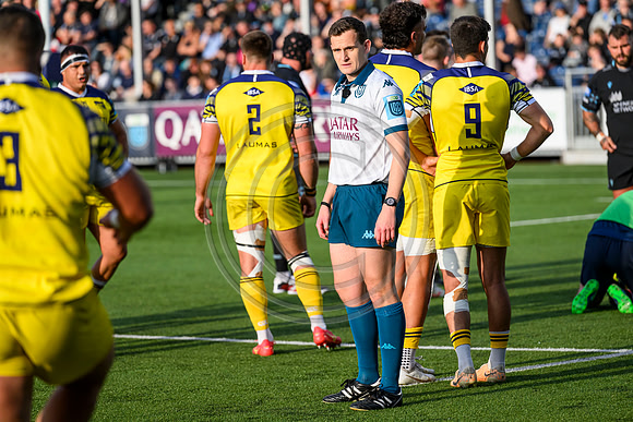 Warriors v Zebre