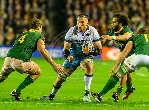 Scotland v South Africa
