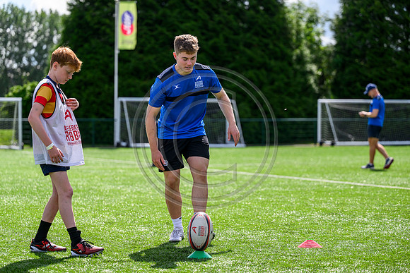 Accelerate Rugby