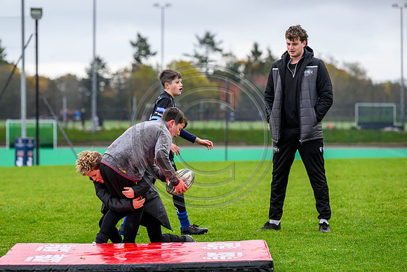 Apex Rugby