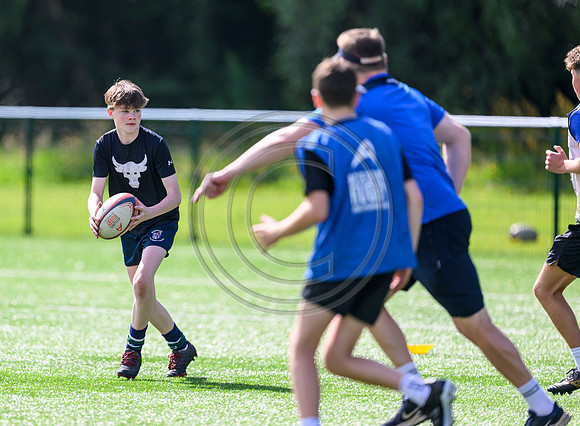 Accelerate Rugby
