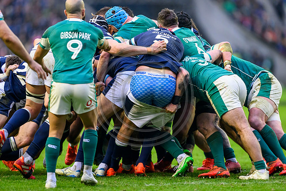 Scotland v ireland