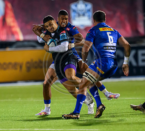 Warriors v Stormers