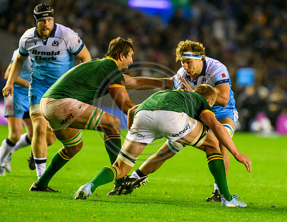 Scotland v South Africa