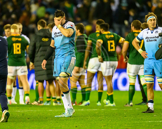 Scotland v South Africa