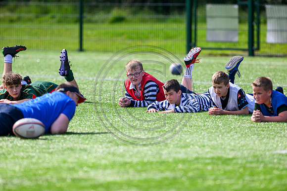 Accelerate Rugby