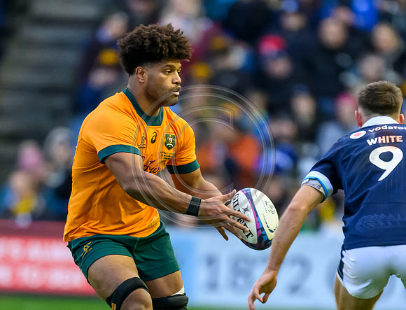 Scotland v Australia