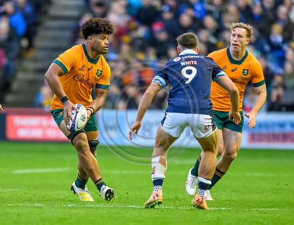 Scotland v Australia