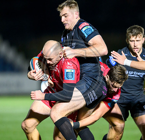 Warriors v Scarlets