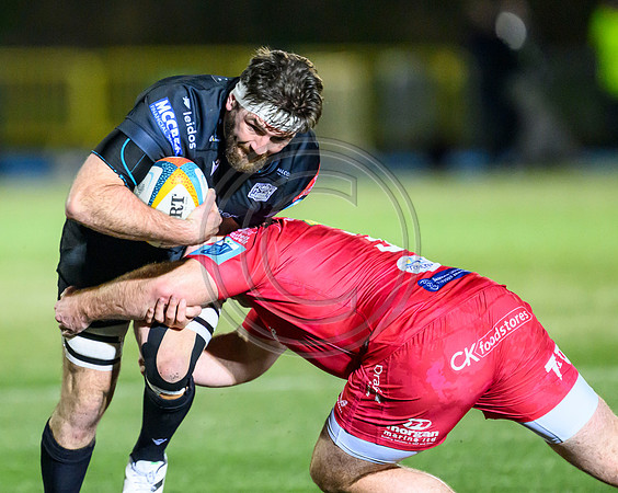 Warriors v Scarlets