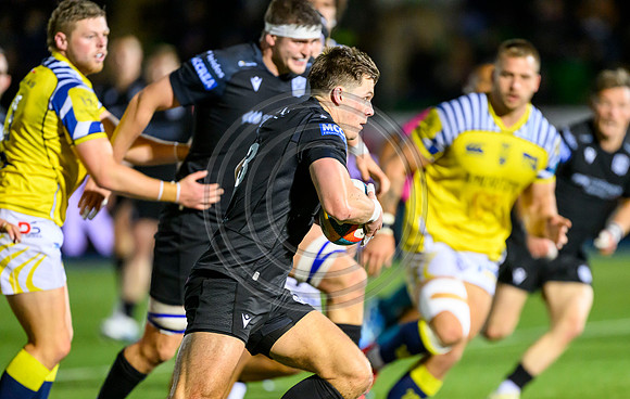 Warriors v Zebre
