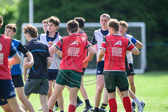 Accelerate Rugby