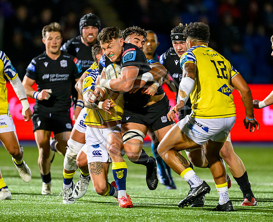 Warriors v Zebre