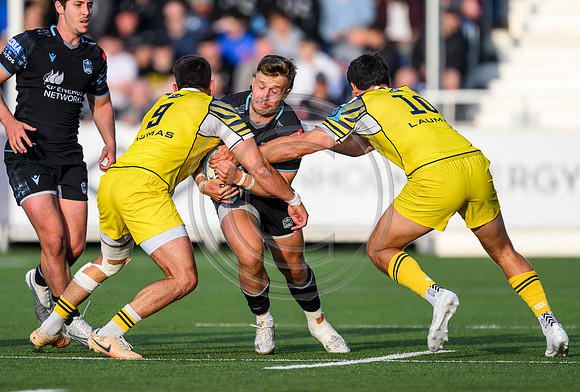 Warriors v Zebre