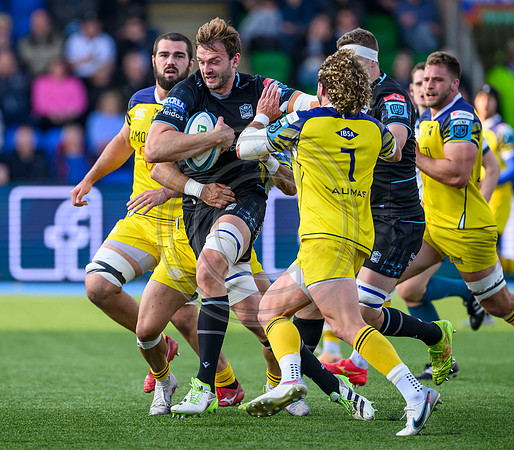 Warriors v Zebre