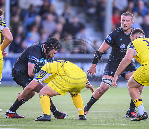 Warriors v Zebre