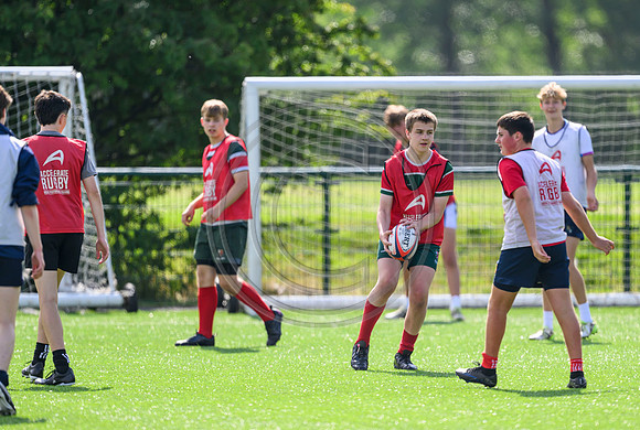 Accelerate Rugby