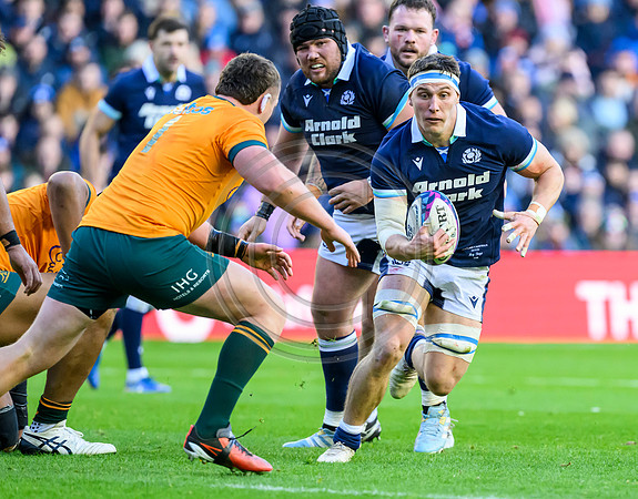 Scotland v Australia