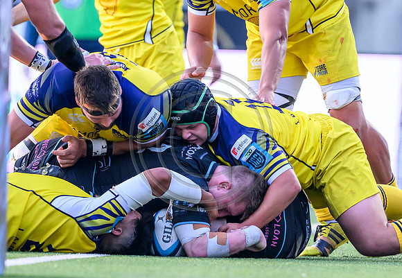 Warriors v Zebre