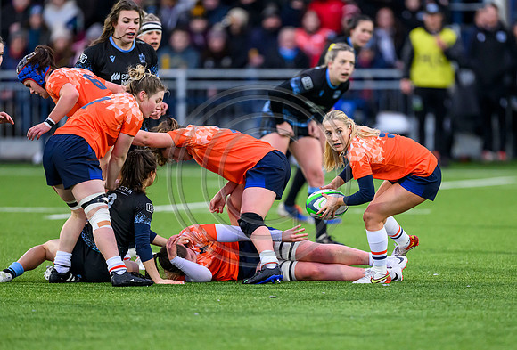 Edinburgh v Warriors