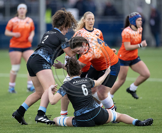 Edinburgh v Warriors