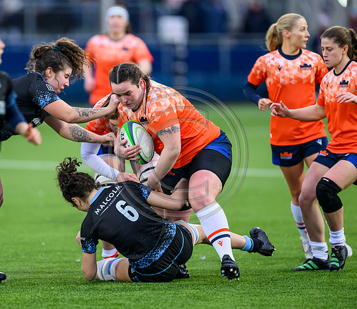 Edinburgh v Warriors