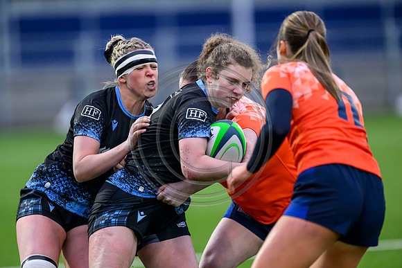 Edinburgh v Warriors