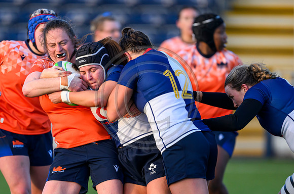 Edinburgh v Wolfhounds