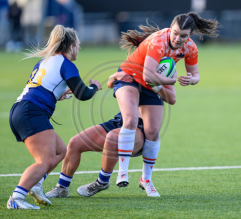 Edinburgh v Wolfhounds