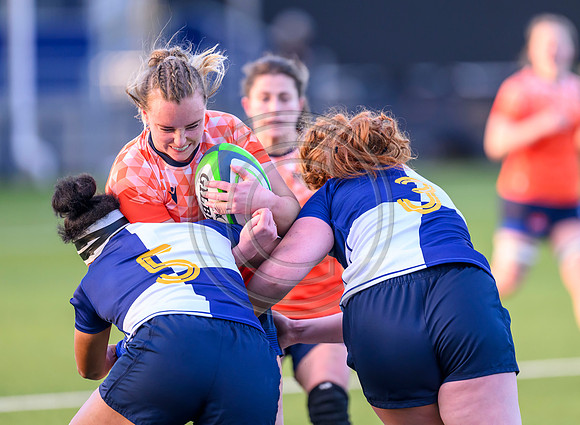 Edinburgh v Wolfhounds