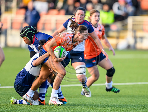 Edinburgh v Wolfhounds