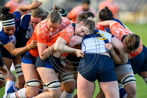 Edinburgh v Wolfhounds