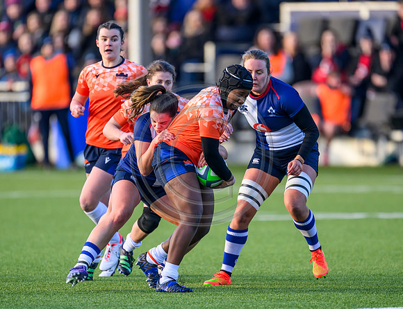 Edinburgh v Wolfhounds