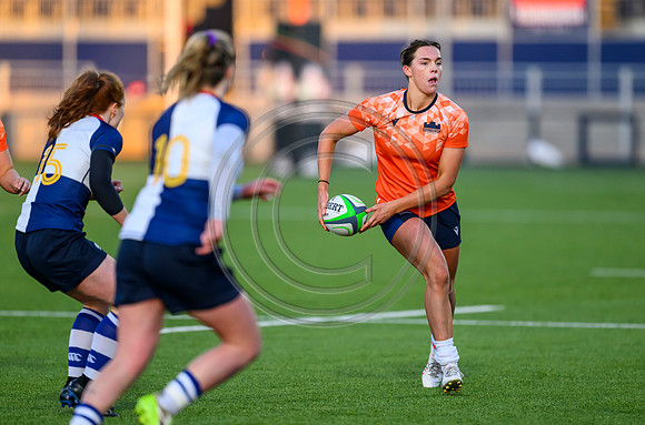 Edinburgh v Wolfhounds