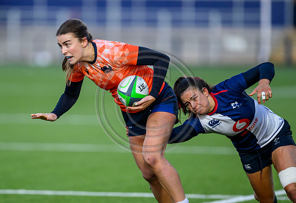 Edinburgh v Wolfhounds